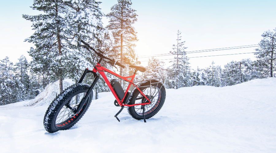Best Fat Tire Ebikes of 2024